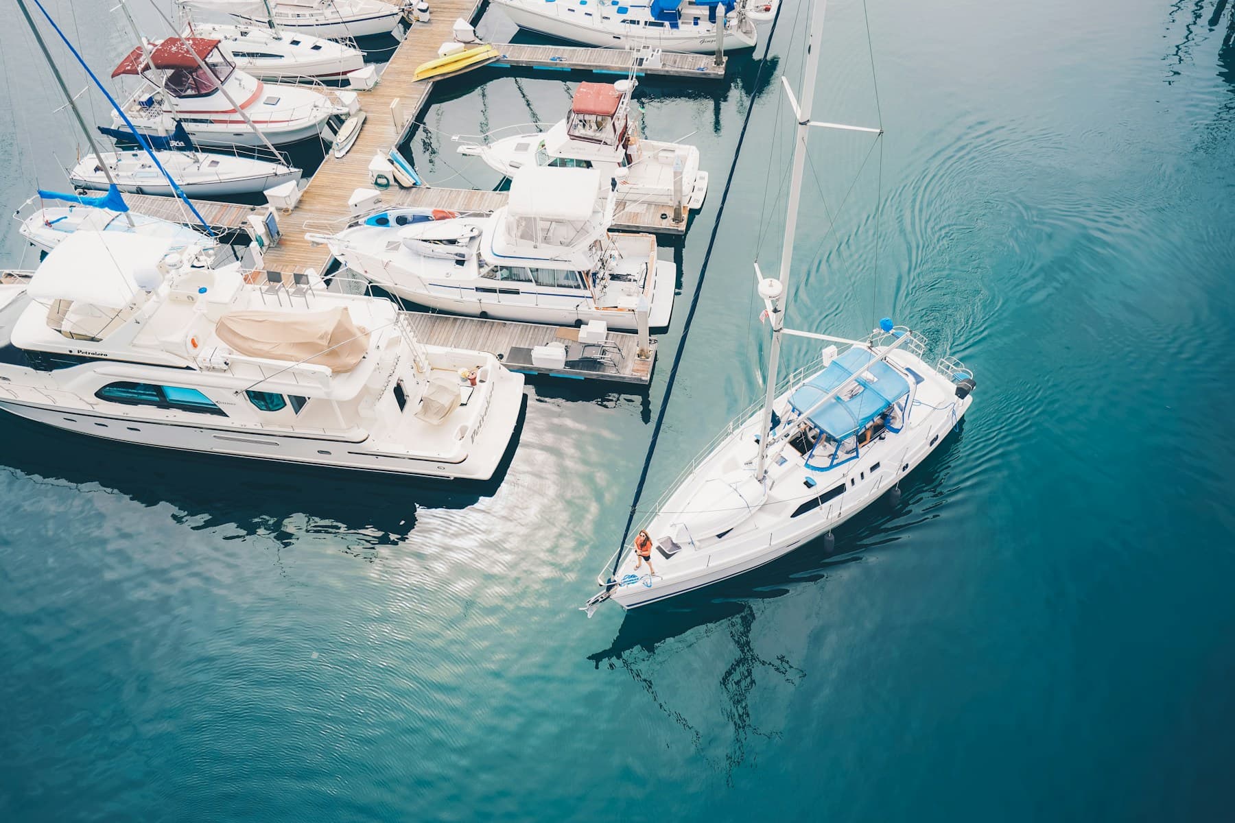 Sailboat arriving beside yachts at a marina